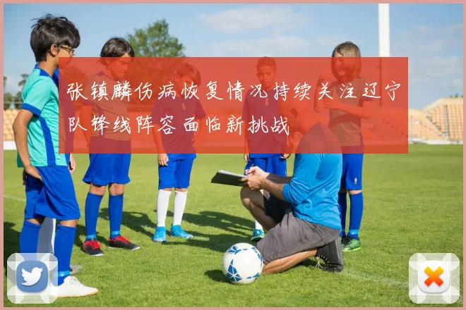 张镇麟伤病恢复情况持续关注辽宁队锋线阵容面临新挑战